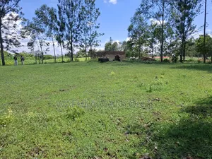 100 by 100 Kocholia Busia