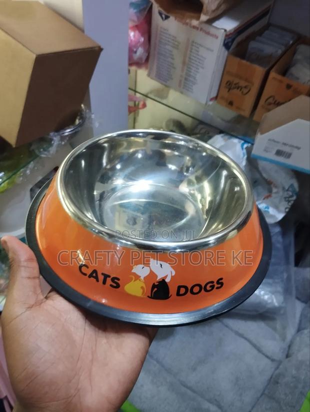 Pet Feeding Bowls - main view