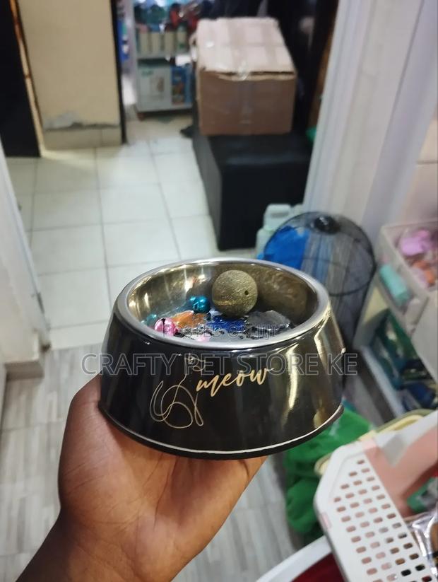 Pet Feeding Bowls - thumbnail 3