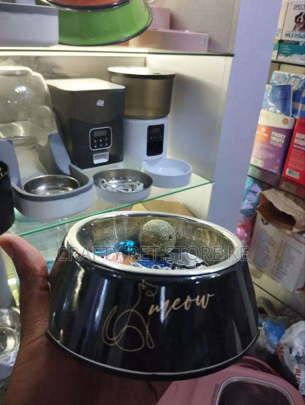 Pet Feeding Bowls - thumbnail 4