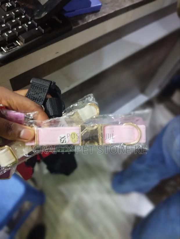 Fancy Pet Collars - main view