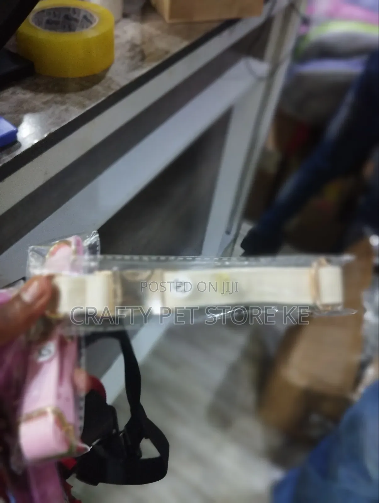 Fancy Pet Collars