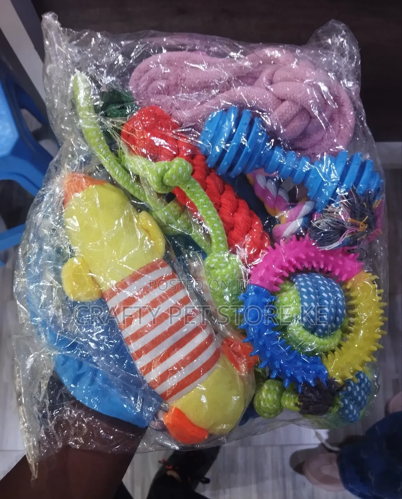 Dog Playing Toys
