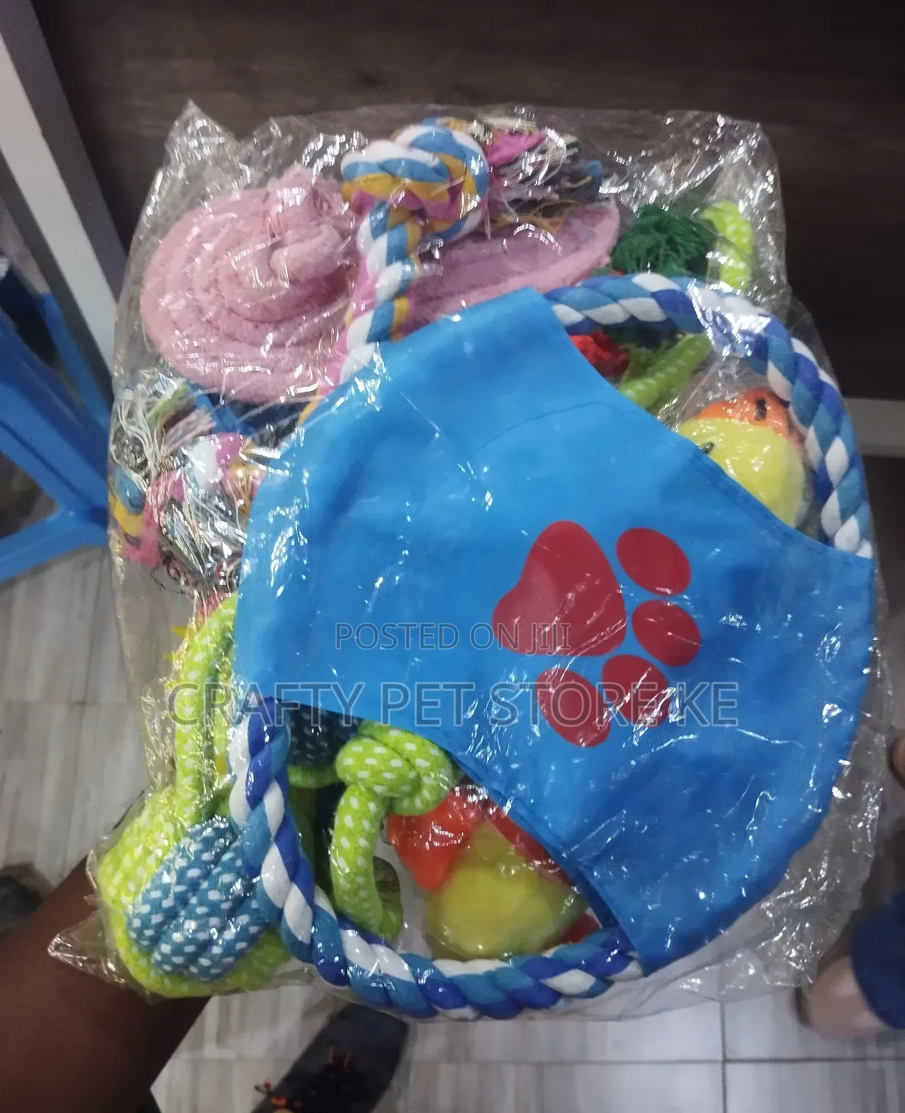 Dog Playing Toys
