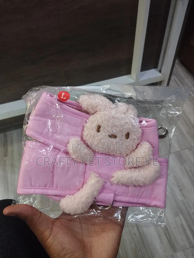 Fancy Cat Harness and Leash Available - main view