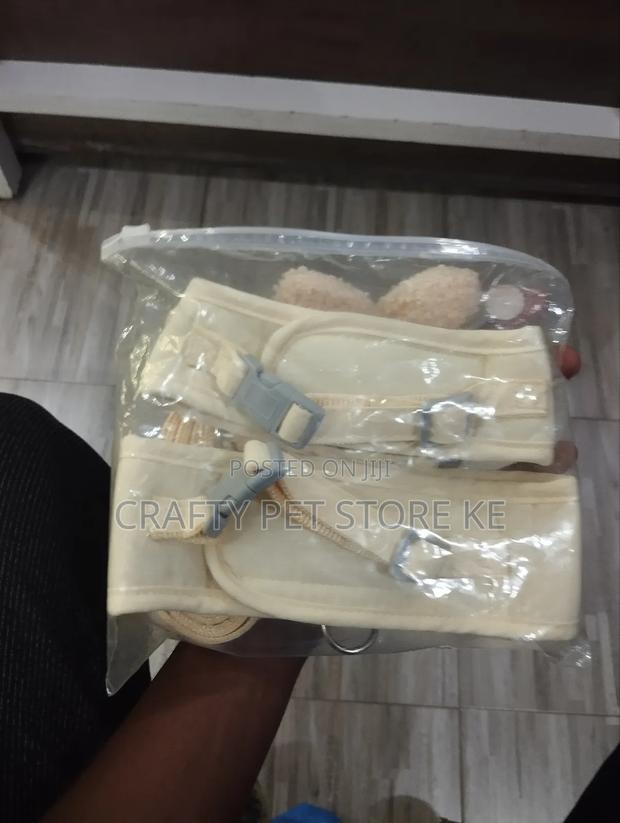 Fancy Cat Harness and Leash Available - thumbnail 3