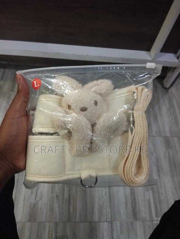 Fancy Cat Harness and Leash Available - thumbnail 4