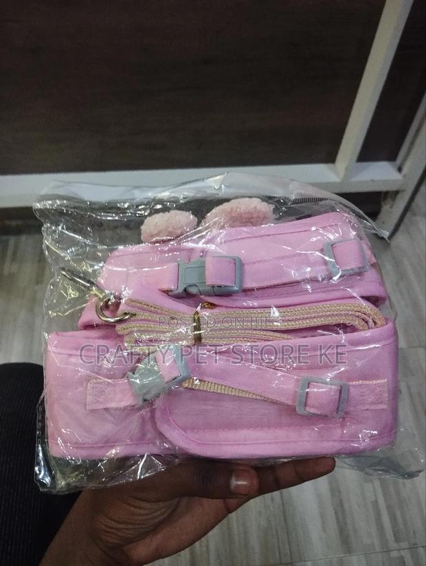 Fancy Cat Harness and Leash Available - thumbnail 5