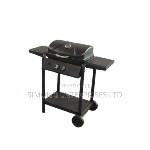 Gas Bbq- 2 Burner