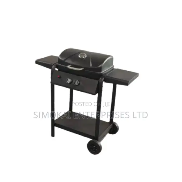 Gas Bbq- 2 Burner