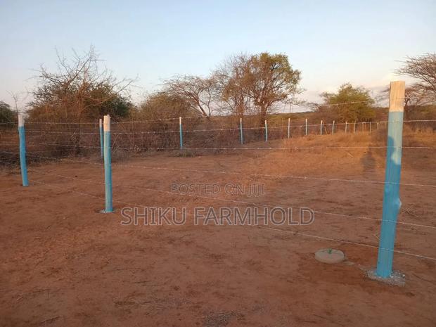 Prime Plots - thumbnail 3