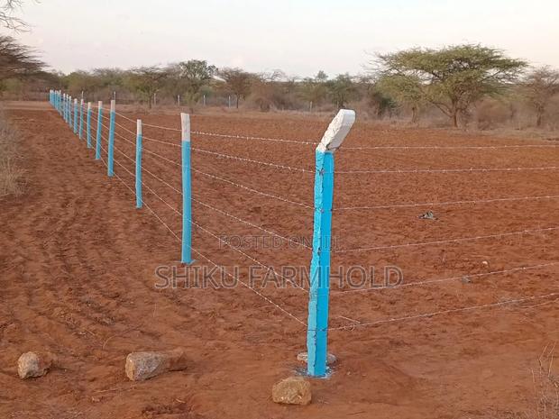 Prime Plots - thumbnail 6