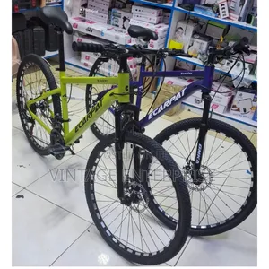 Ecarpat Size 26 Bicycle