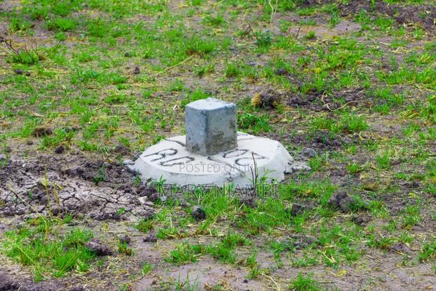 Realestate - thumbnail 6