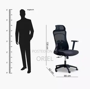 Office Chair : High-Back Ergonomic Office Chair