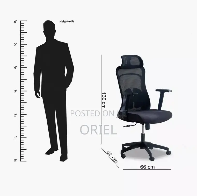 Office Chair : High-Back Ergonomic Office Chair