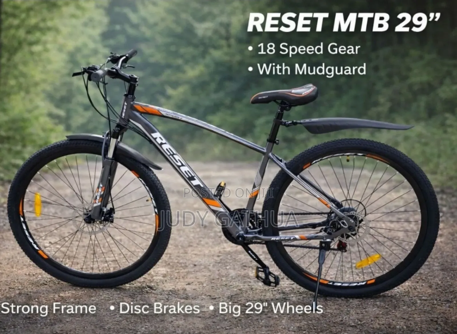Bike Size 29