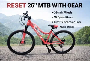 Bike Pink For Adults