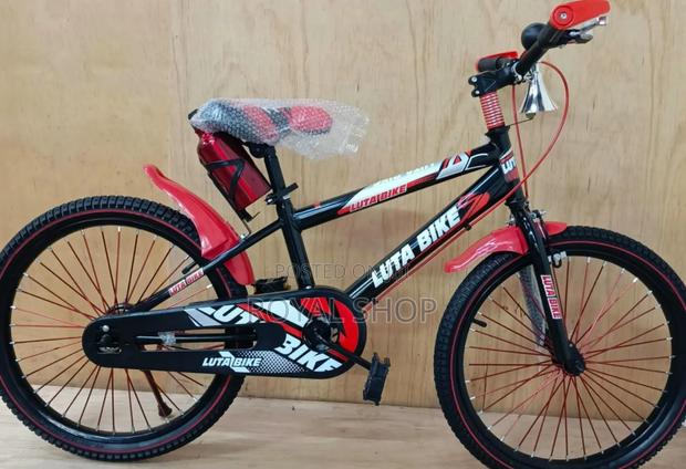 Bike Size 20.