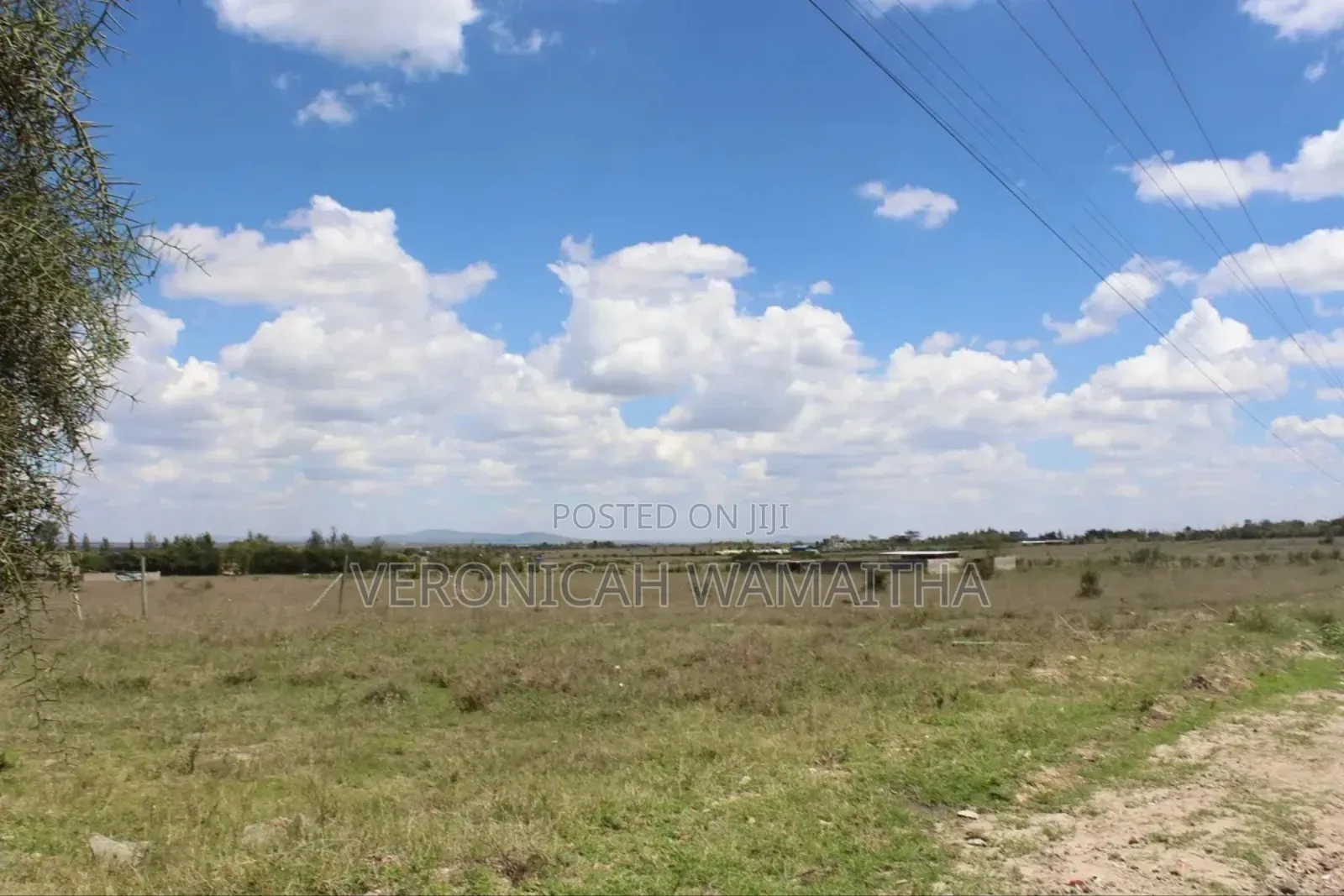 Plot for Sale