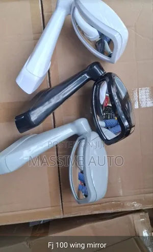 Fj100 Wing Mirror/ Bonet Rear View Mirror/Wing Mirror