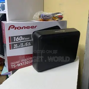 Pioneer Professional Active Subwoofer