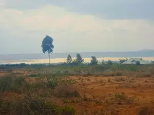 Affordable Plots in Kikopey 50 by 100