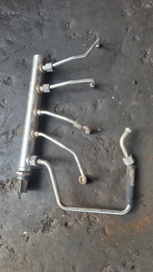 BMW X1 Common Rail