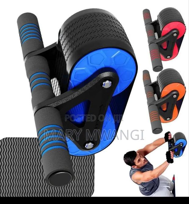 Fitness Ab/Abs Roller Coaster - main view