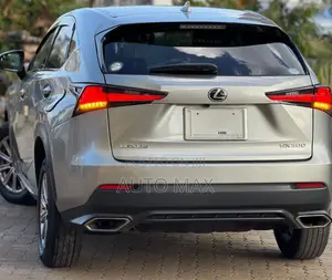 Lexus NX 2020 Silver