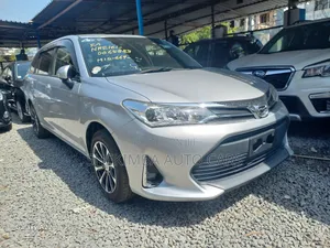Toyota Corolla Fielder 2019 Silver