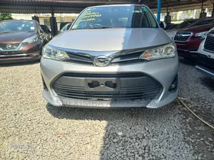Toyota Corolla Fielder 2019 Silver