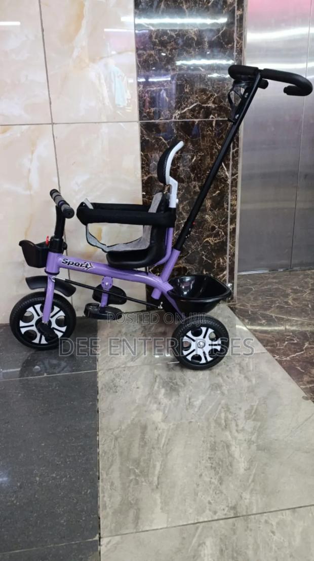 Caged Tricycles With Push Handle - main view