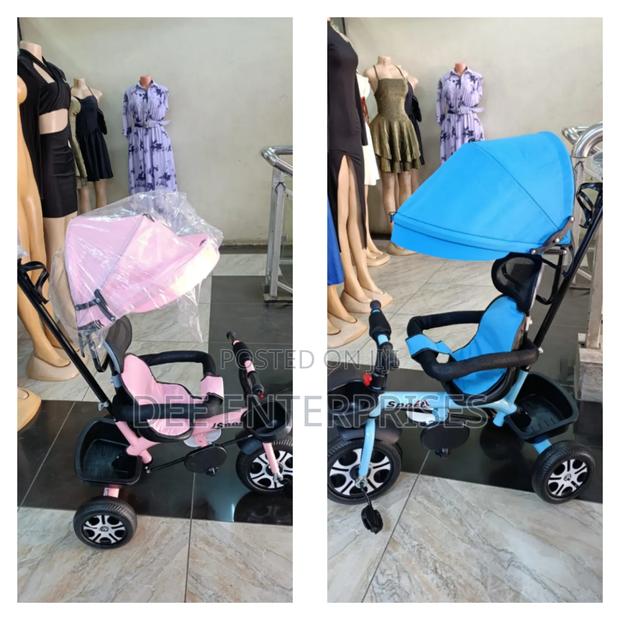 Caged Tricycles
With Canopy and Push Handle