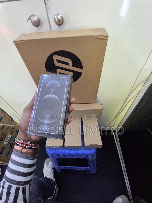 New Apple iPhone 12 Pro 256 GB Silver - thumbnail 4