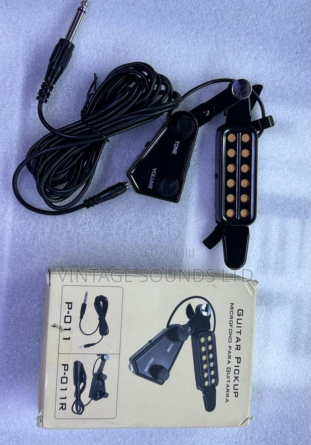 P-012 12holes Acoustic Guitar Pickup - main view