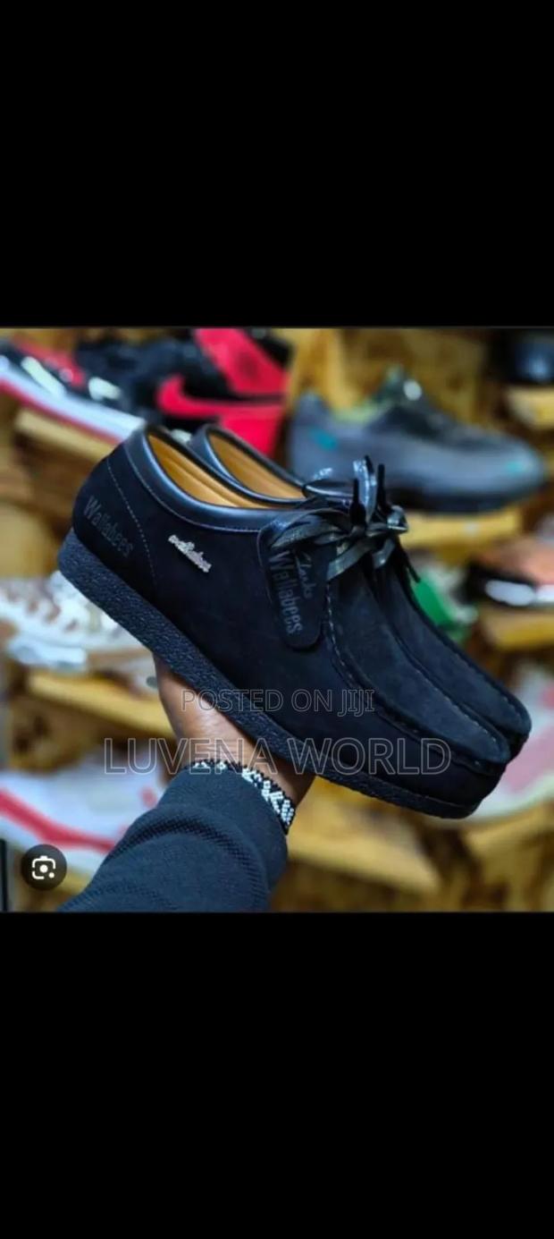 Grey And Black Wallabies - thumbnail 2