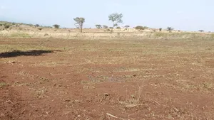 Prime 30 Acres for Sale – Kimana (6km From Tarmac)