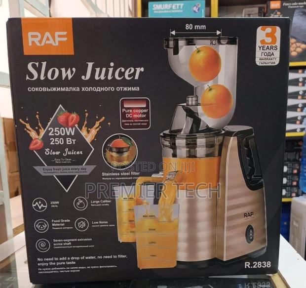 *Raf Slow Juicer (Model R.2838).* Powerful 250w - main view