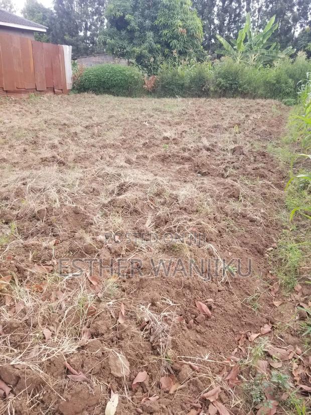 Weitathie Maraba Plot - main view