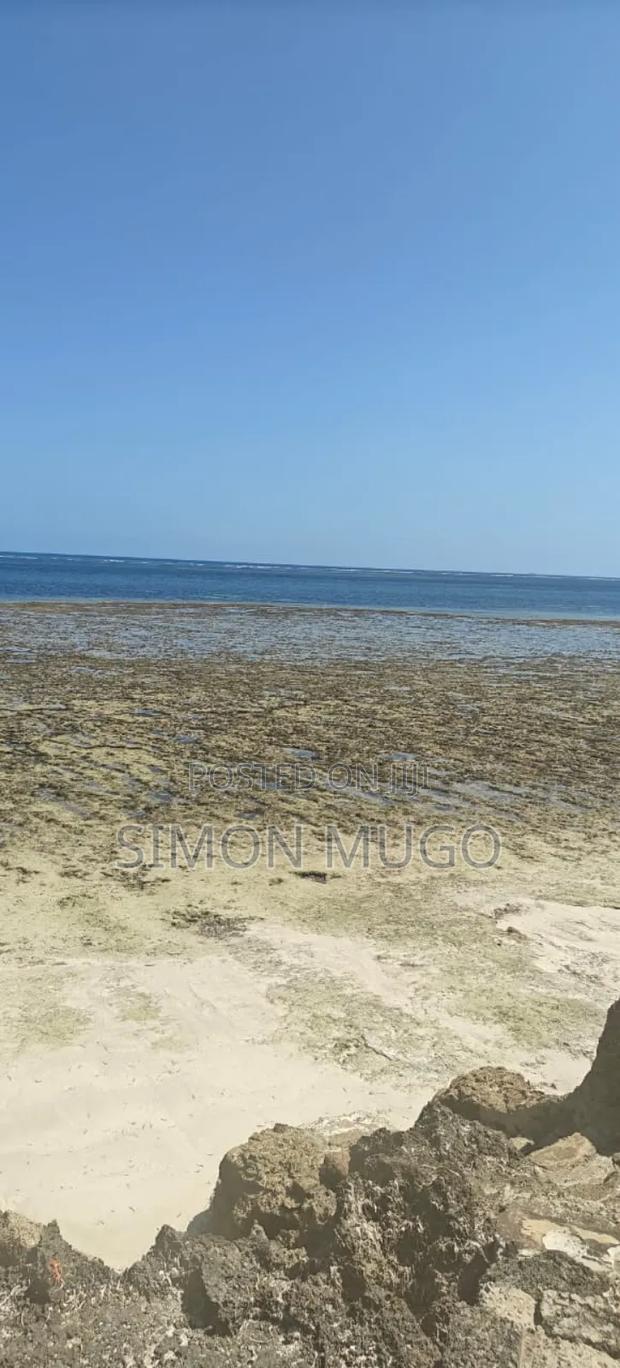 North Coast Mtwapa Prime 2.5 Acres With Sea Frontage - thumbnail 6