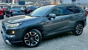 Toyota RAV4 Adventure 2019 Gray