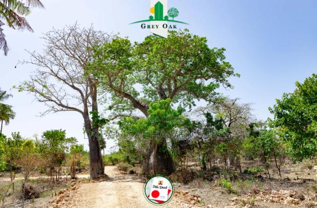 Residential Plots For Sale In Diani Beach 3 - thumbnail 6