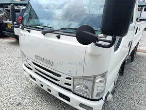 Isuzu Elf With Leaf Springs 2018 White