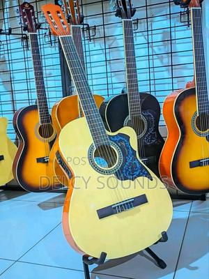 Acoustic and Semi Guitars - main view