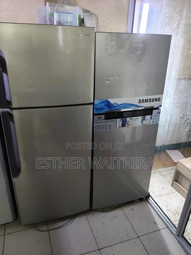 Well Maintained Inverter Frost Free Silver Fridge
