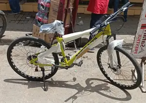 Safari Mountain Bicycle.