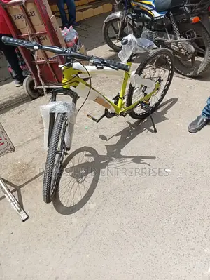 Mountain Bicycle.* 