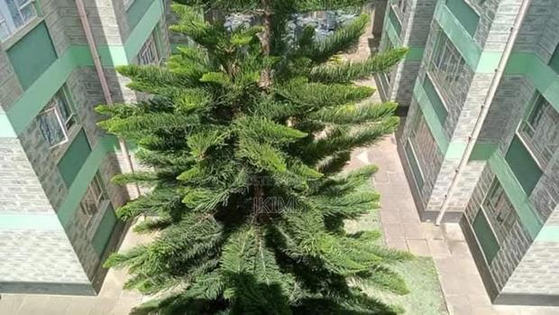 2bdrm Apartment in Jamhuri Estate for rent - thumbnail 12