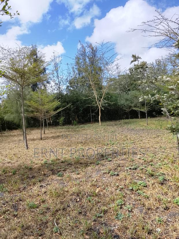 50 by 100 Plots in Kinanie - main view